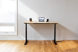 Rise - Sit Stand Desk